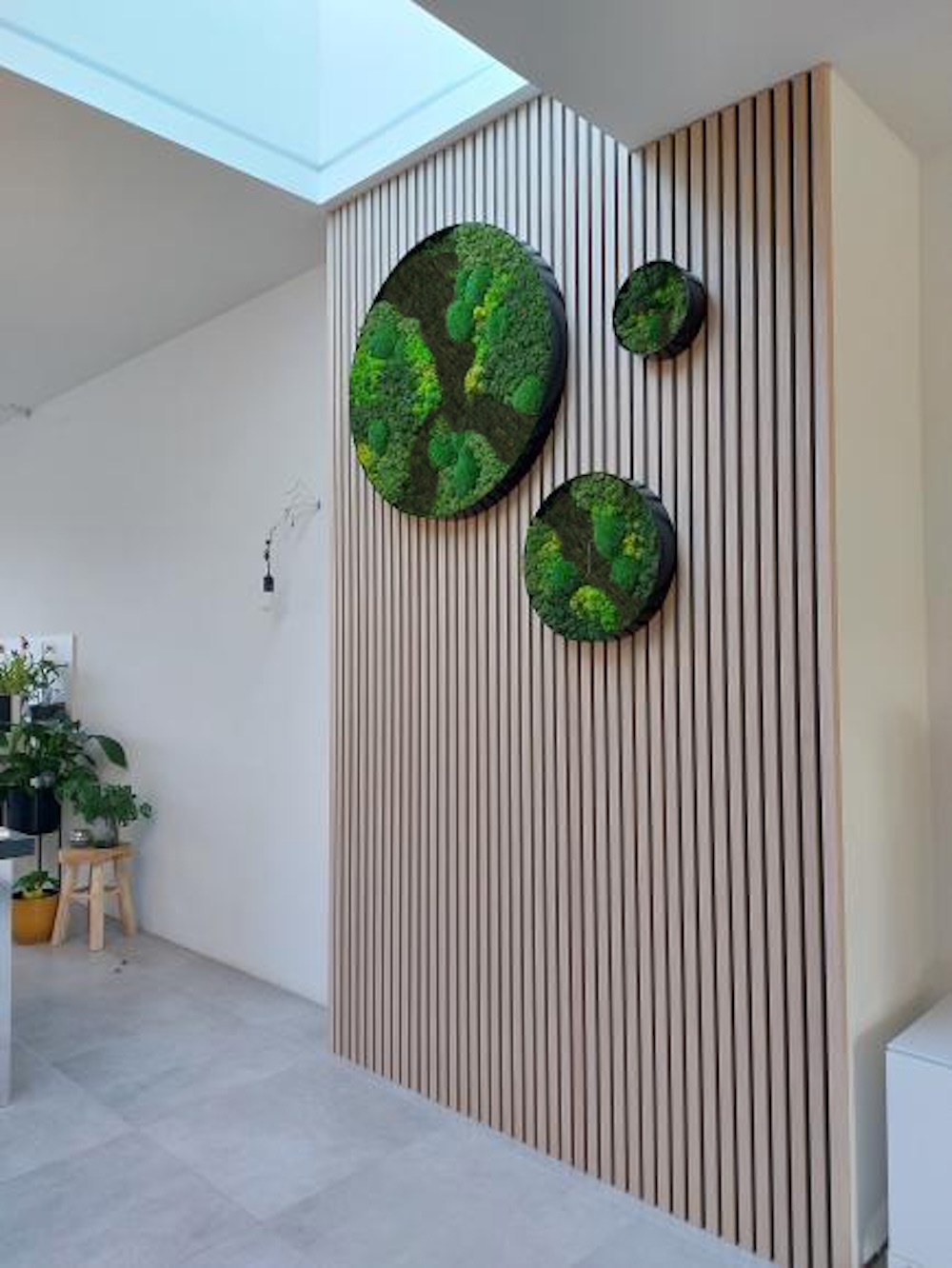 FotoWaarom los mos perfect is voor creatieve wanddecoratie